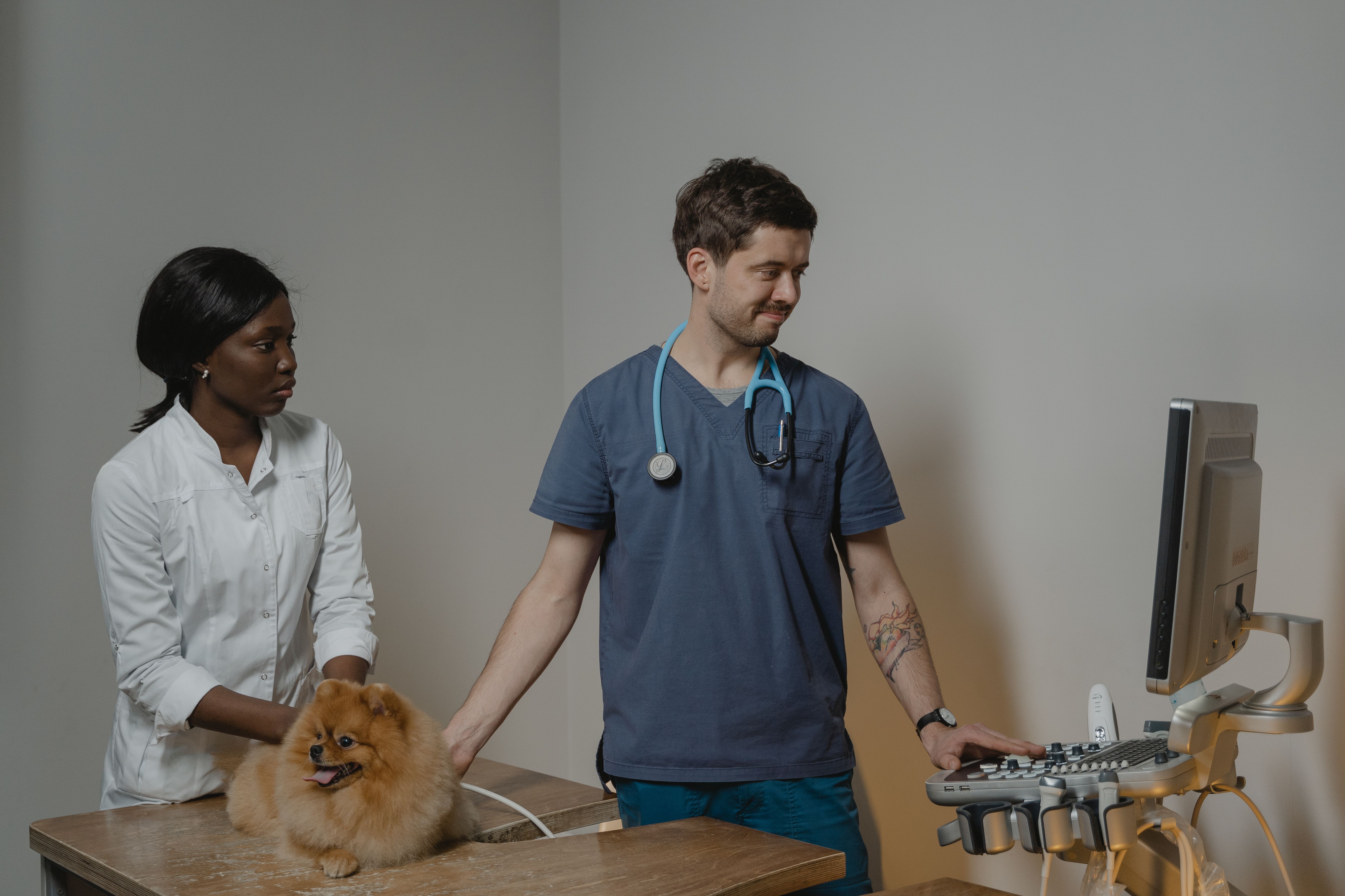 New Vet Reforms Could Make Pet Care Costs Clearer for Owners